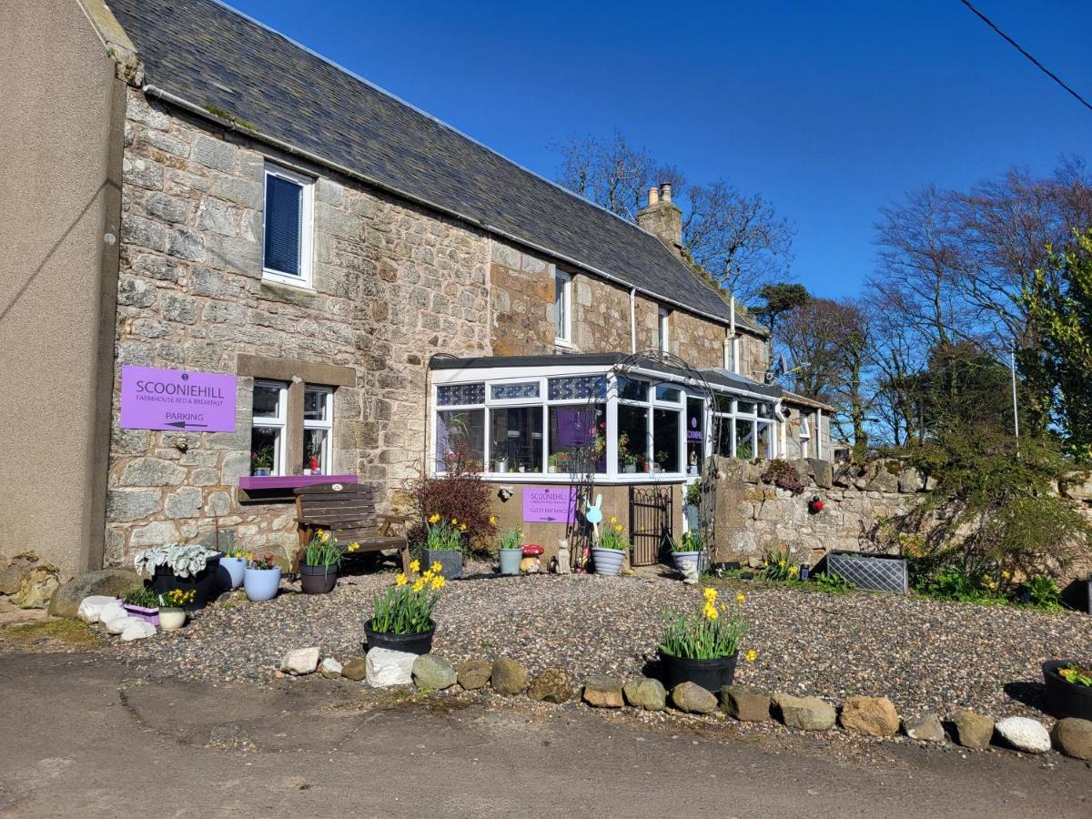 Scooniehill Farm House B&B St Andrews Esterno foto